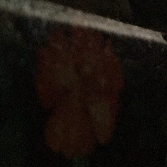 Meet your Posher, Nancy - Picture 1 of 1